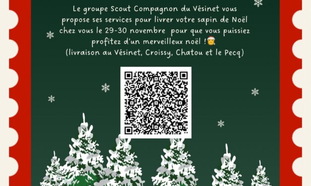 Vente de sapins de Noël par les scouts de France